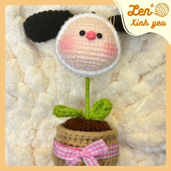 Chau-Heo-Cuu-Len-Cung Chậu Heo Cừu Len Cưng